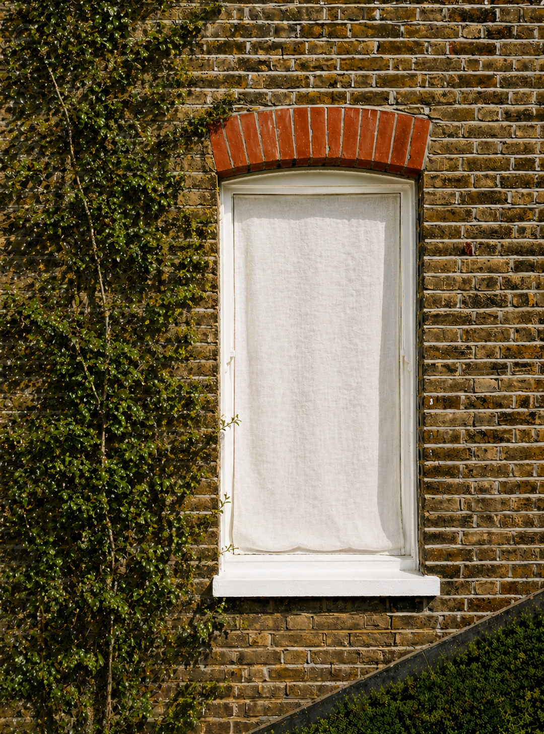 Standard Sash Shade White