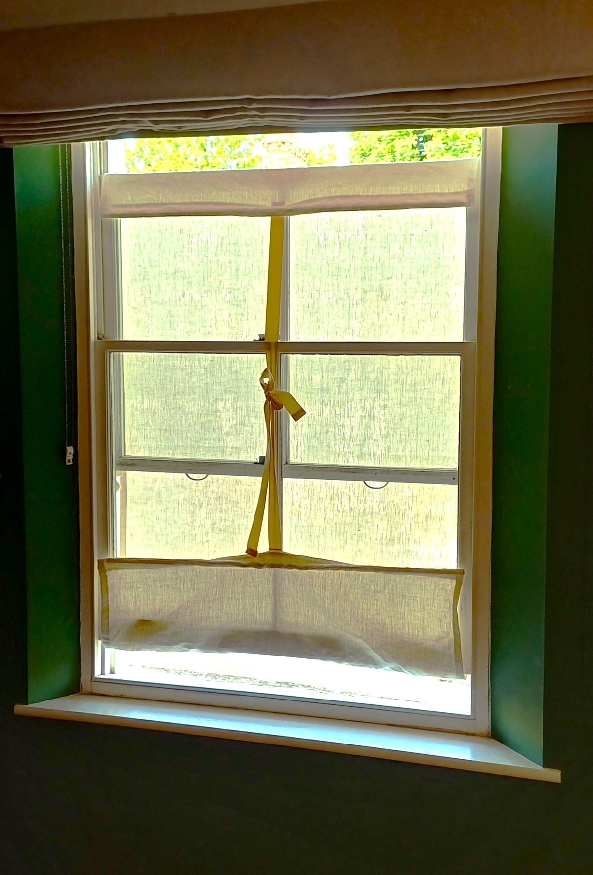 Window with Sash Window Shade